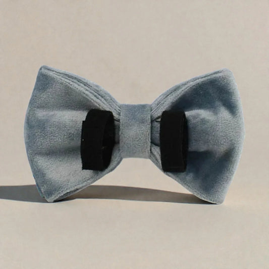 Blue velvet detachable bow tie on a beige background