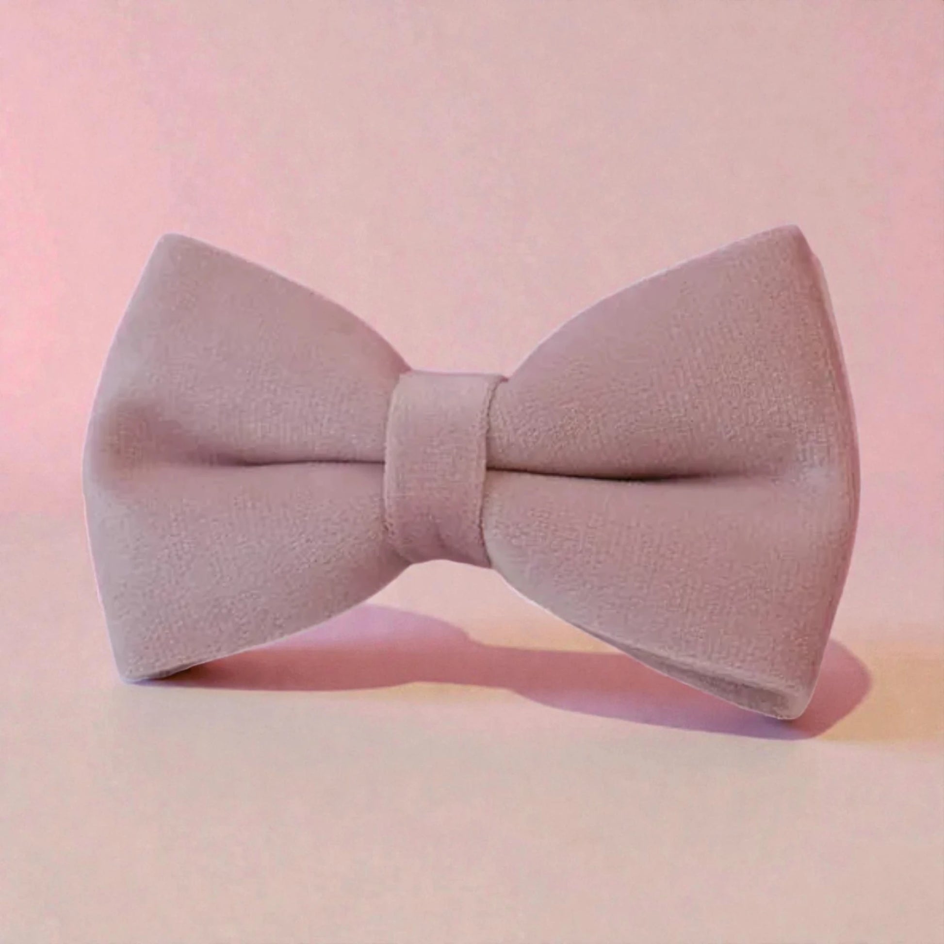 Pink bow tie on a beige background