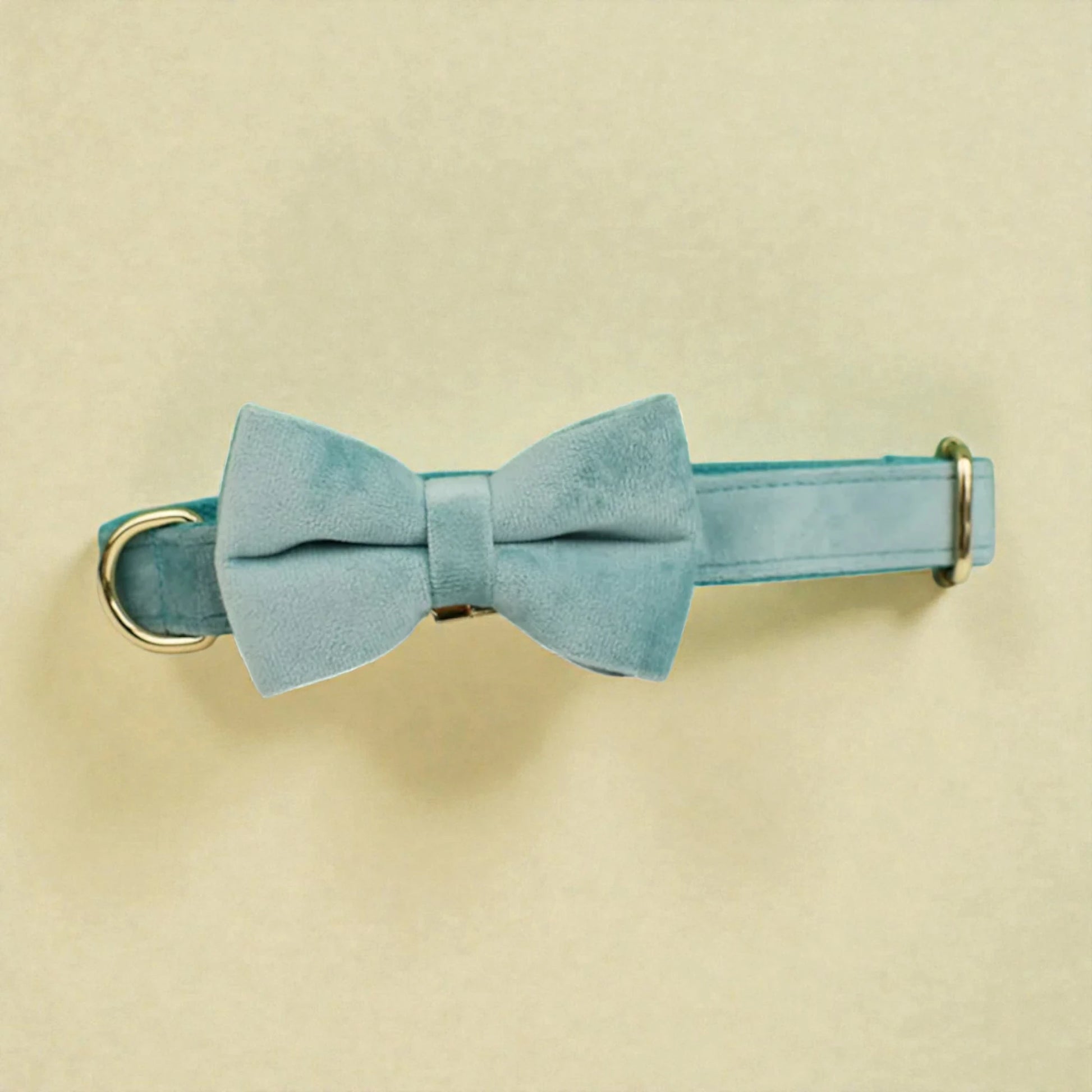 Teal bow tie and collar set on a beige background