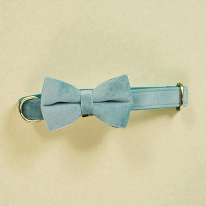 Teal bow tie and collar set on a beige background