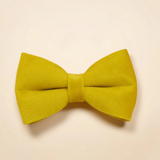 Yellow dog bow tie on a beige background