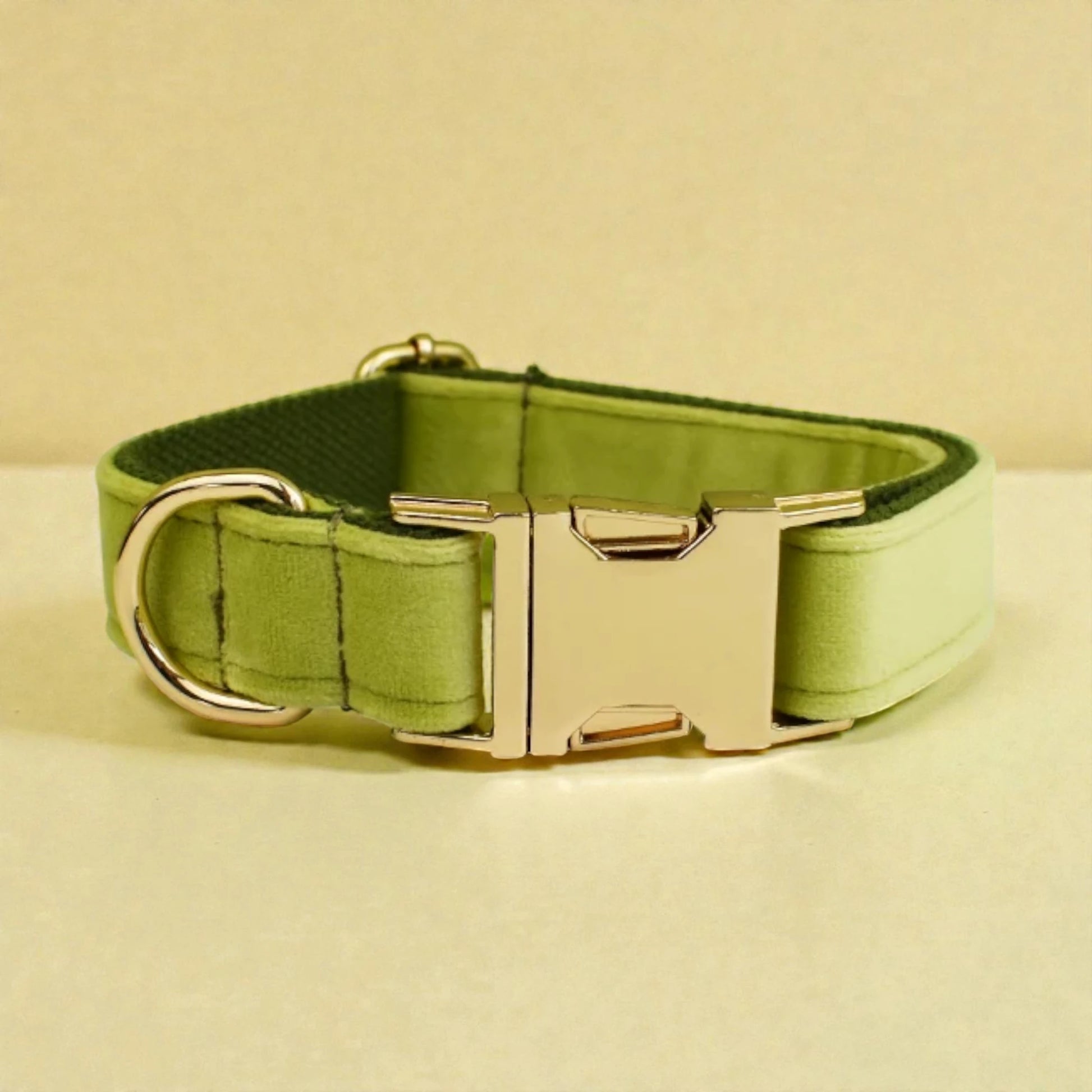 Green dog collar with a metal buckle on a beige background
