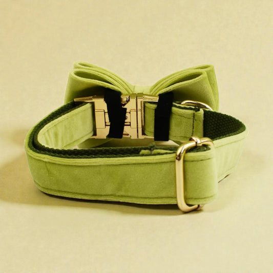 Green dog collar with a gold buckle on a beige background