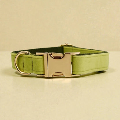 Green dog collar with a gold buckle on a beige background