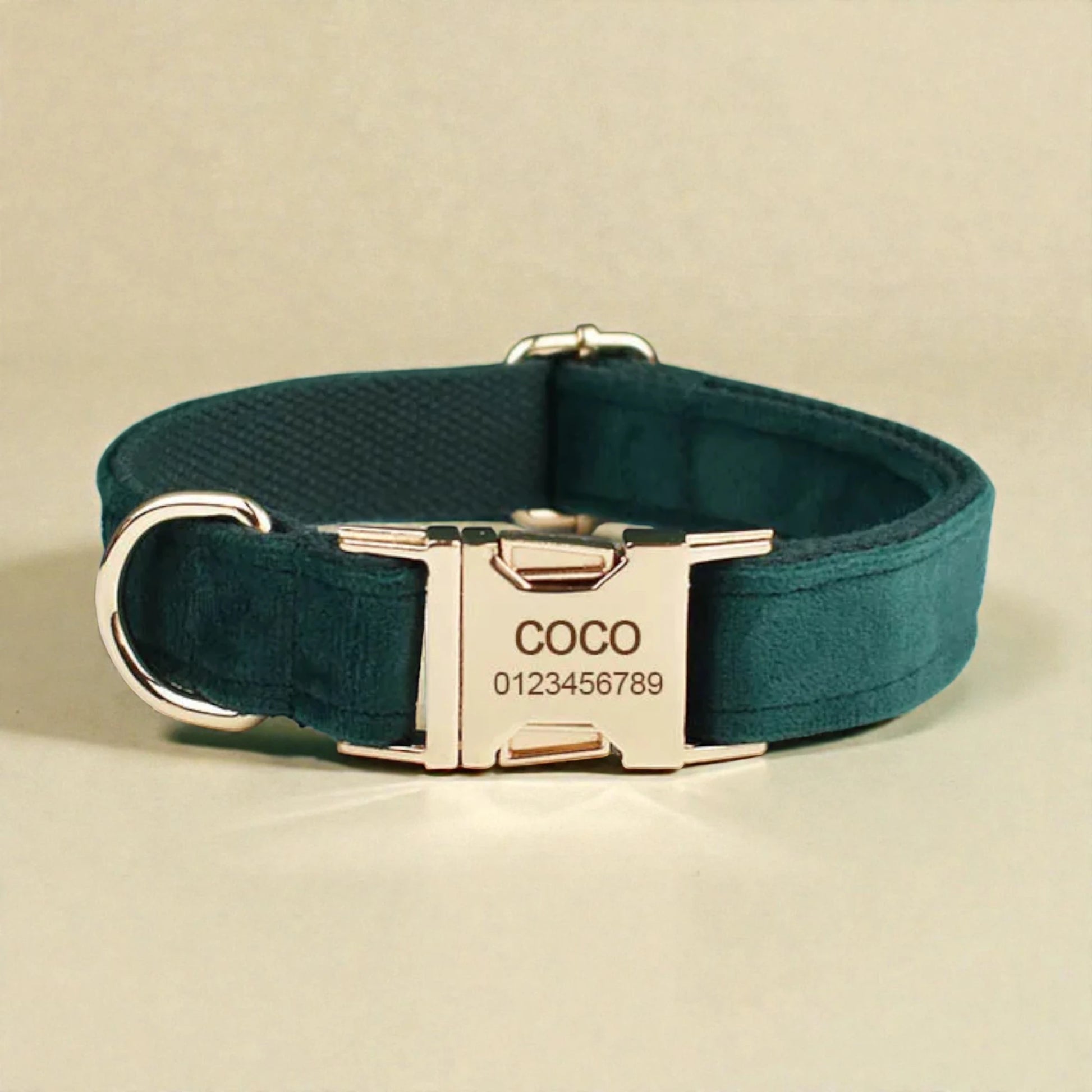 Dark green dog collar with a gold buckle and engraved nameplate on a beige background