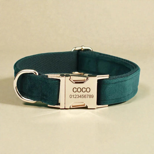 Dark green dog collar with a gold buckle and engraved nameplate on a beige background