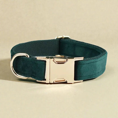 Dark green dog collar with gold buckle on a beige background