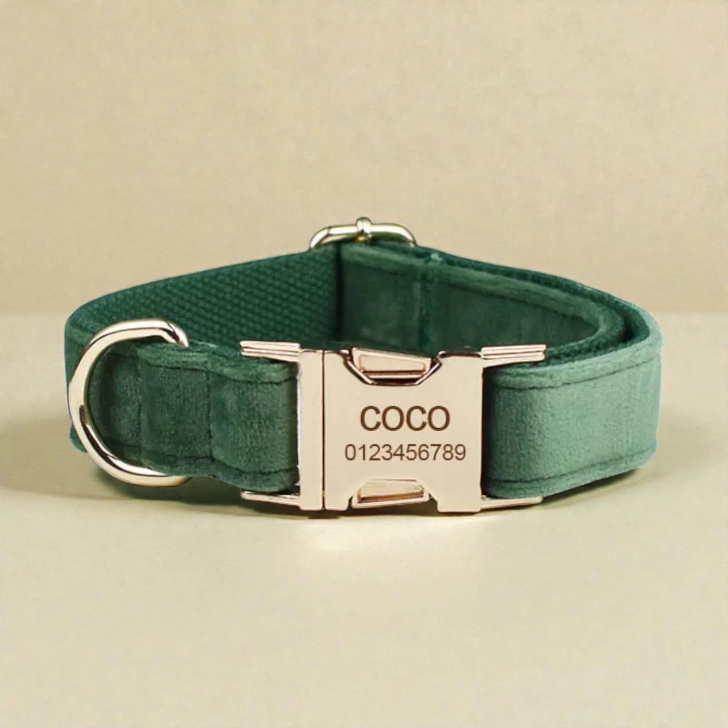 Green dog collar with a silver buckle and engraved name and number on a beige background