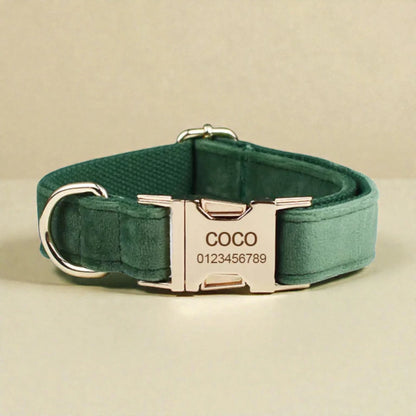 Green dog collar with a silver buckle and engraved name and number on a beige background