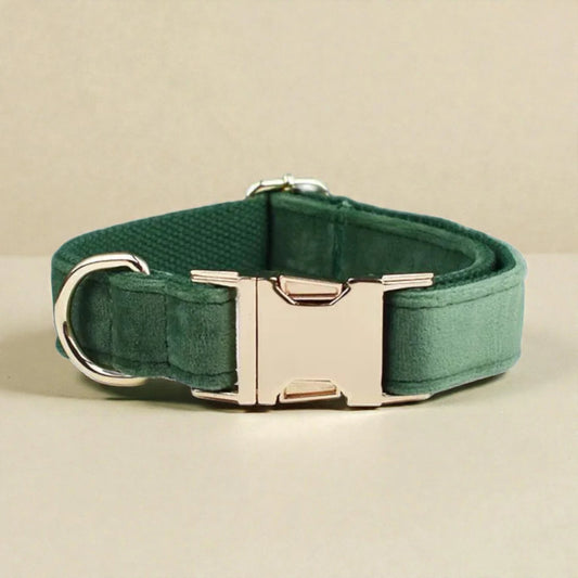 Green dog collar with a gold buckle on a beige background