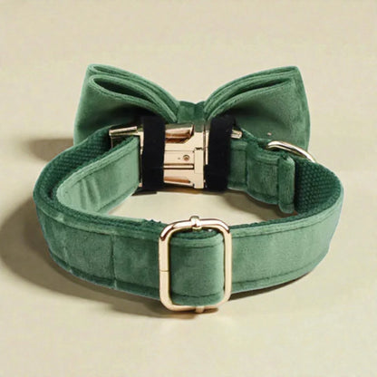 Dark green dog collar  on a beige background