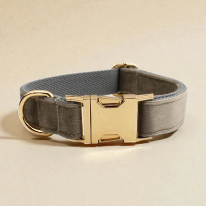 Grey dog collar with gold buckle on a beige background