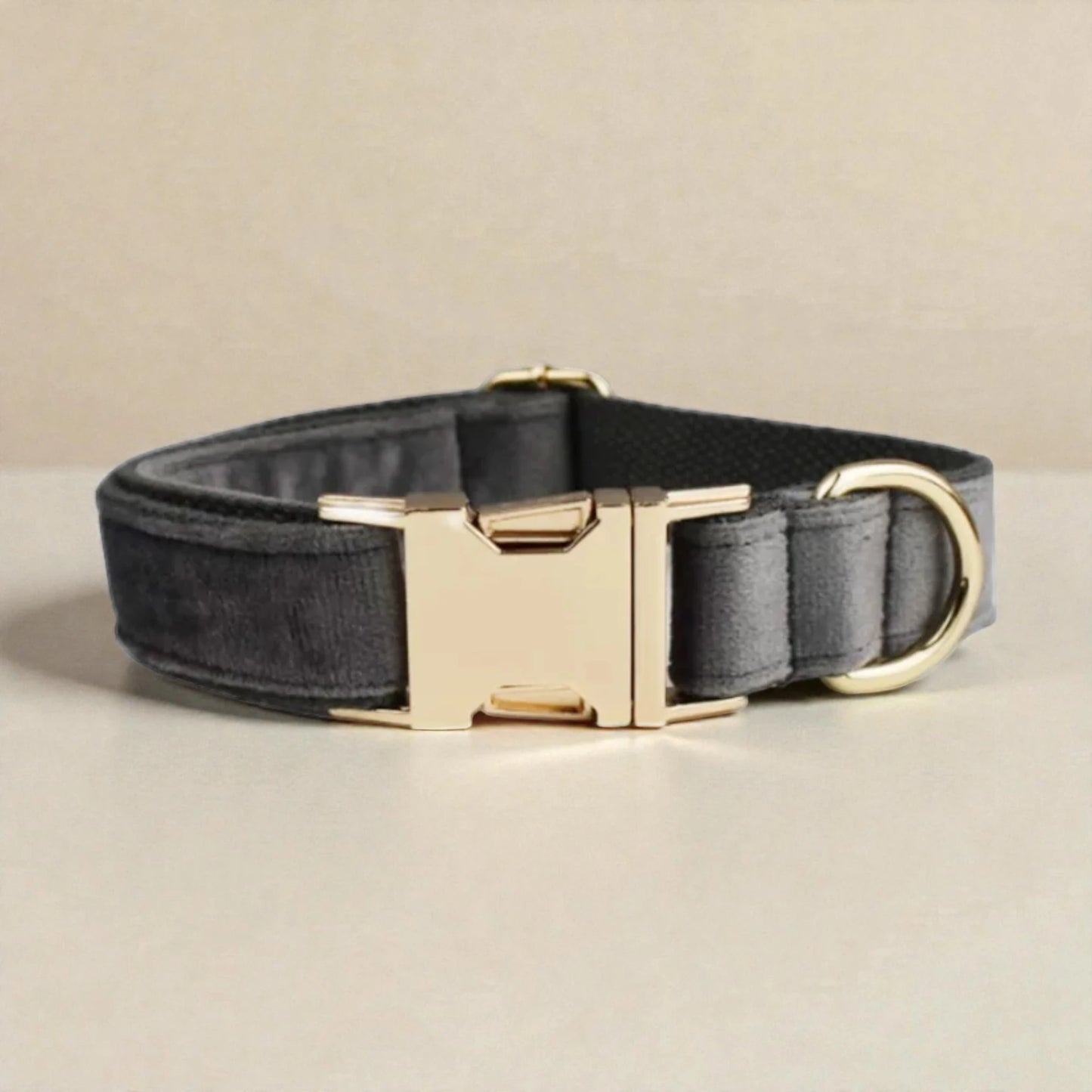 Grey dog collar with gold hardware on a beige background