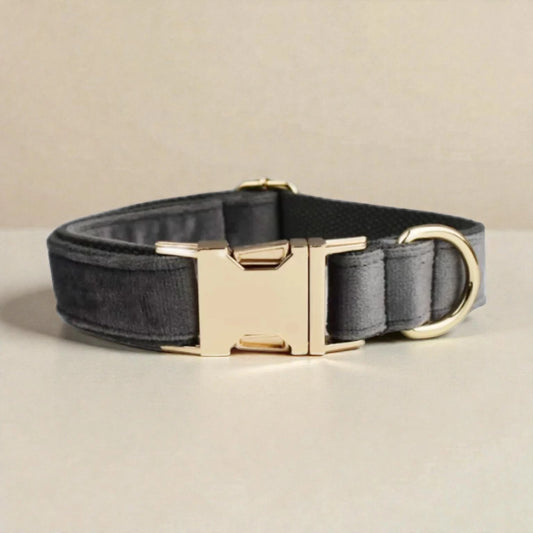 Grey dog collar with gold hardware on a beige background