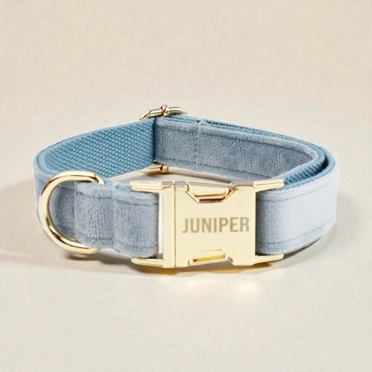 Light blue dog collar with gold buckle with engraving on a beige background