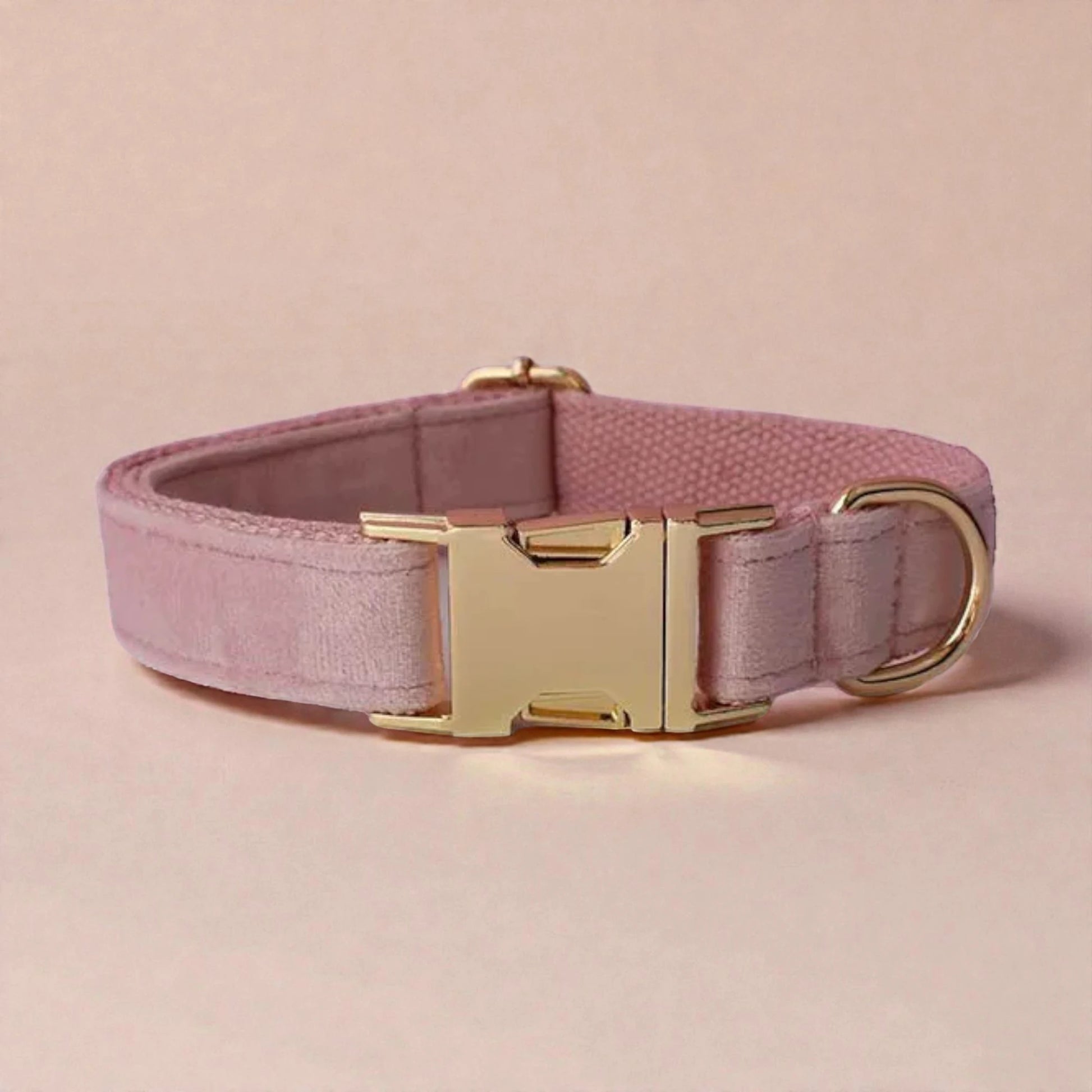 Pink dog collar with a gold buckle on a beige background