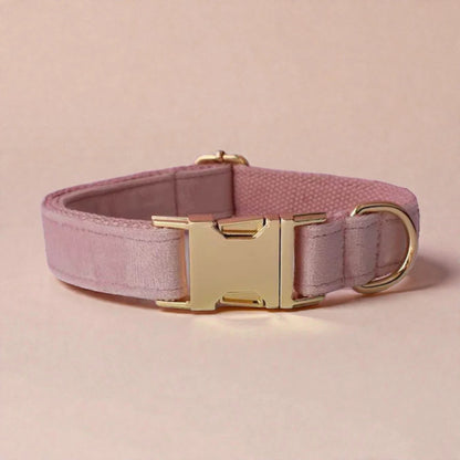 Pink dog collar with a gold buckle on a beige background