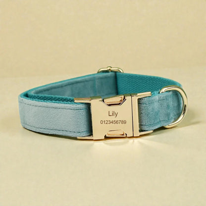 Teal dog collar with gold buckle and engraved nameplate on a beige background
