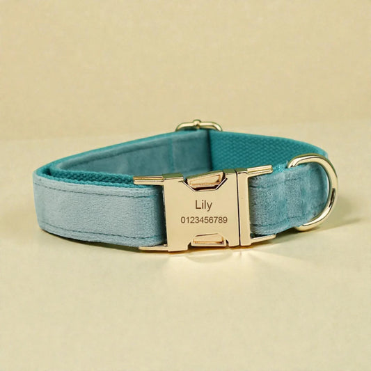 Teal dog collar with gold buckle and engraved nameplate on a beige background