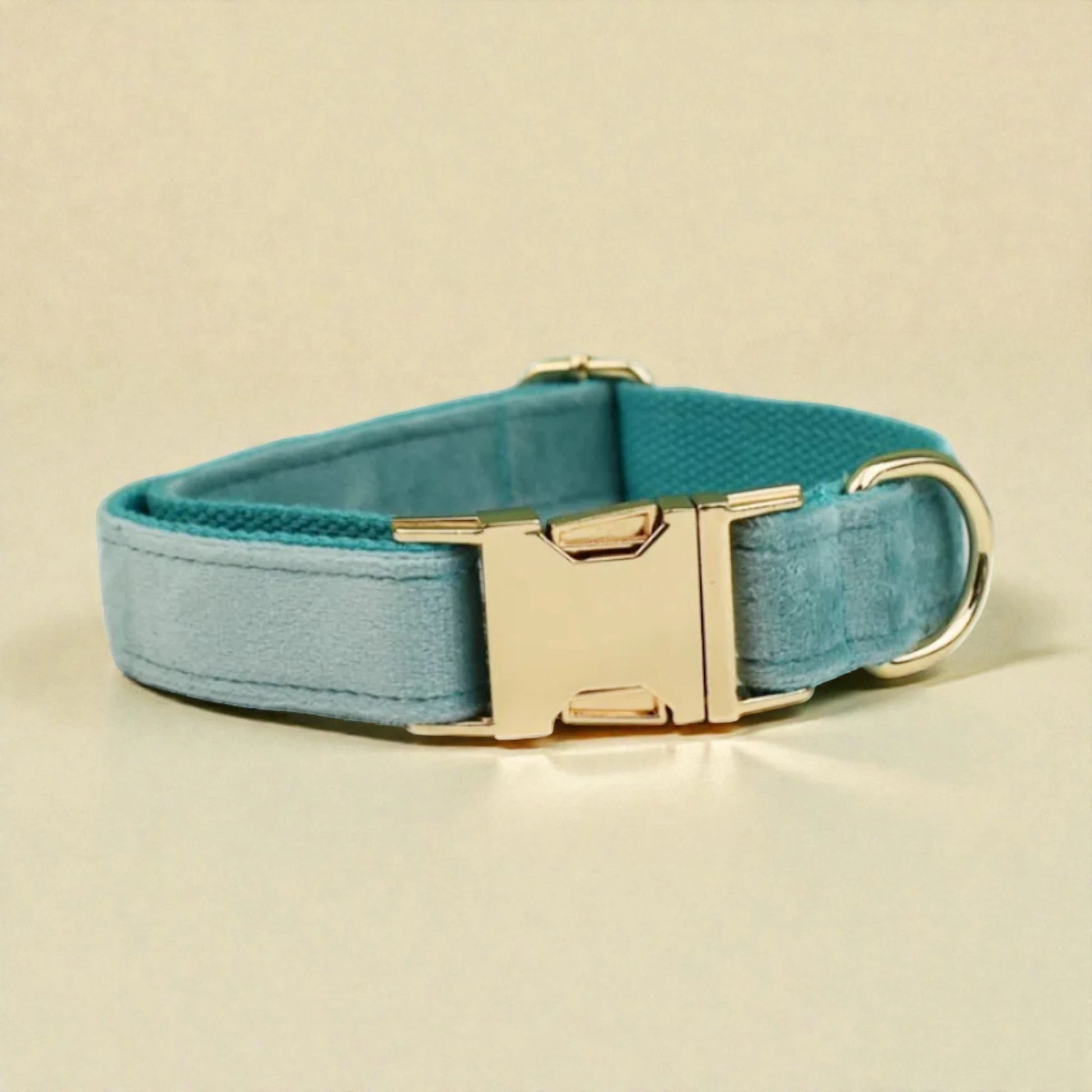 Teal dog collar with a gold buckle on a beige background
