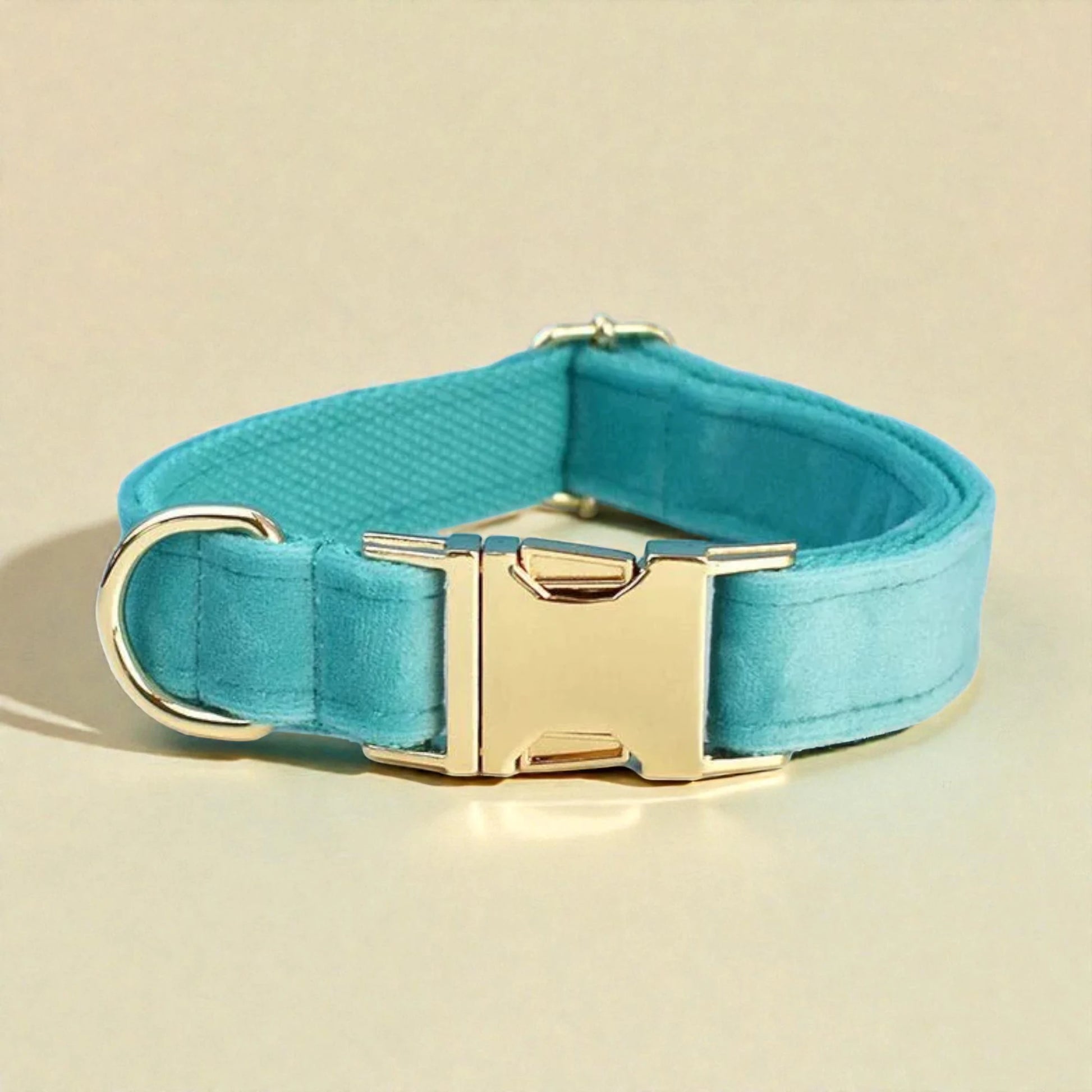 Turquoise dog collar with a gold buckle on a beige background