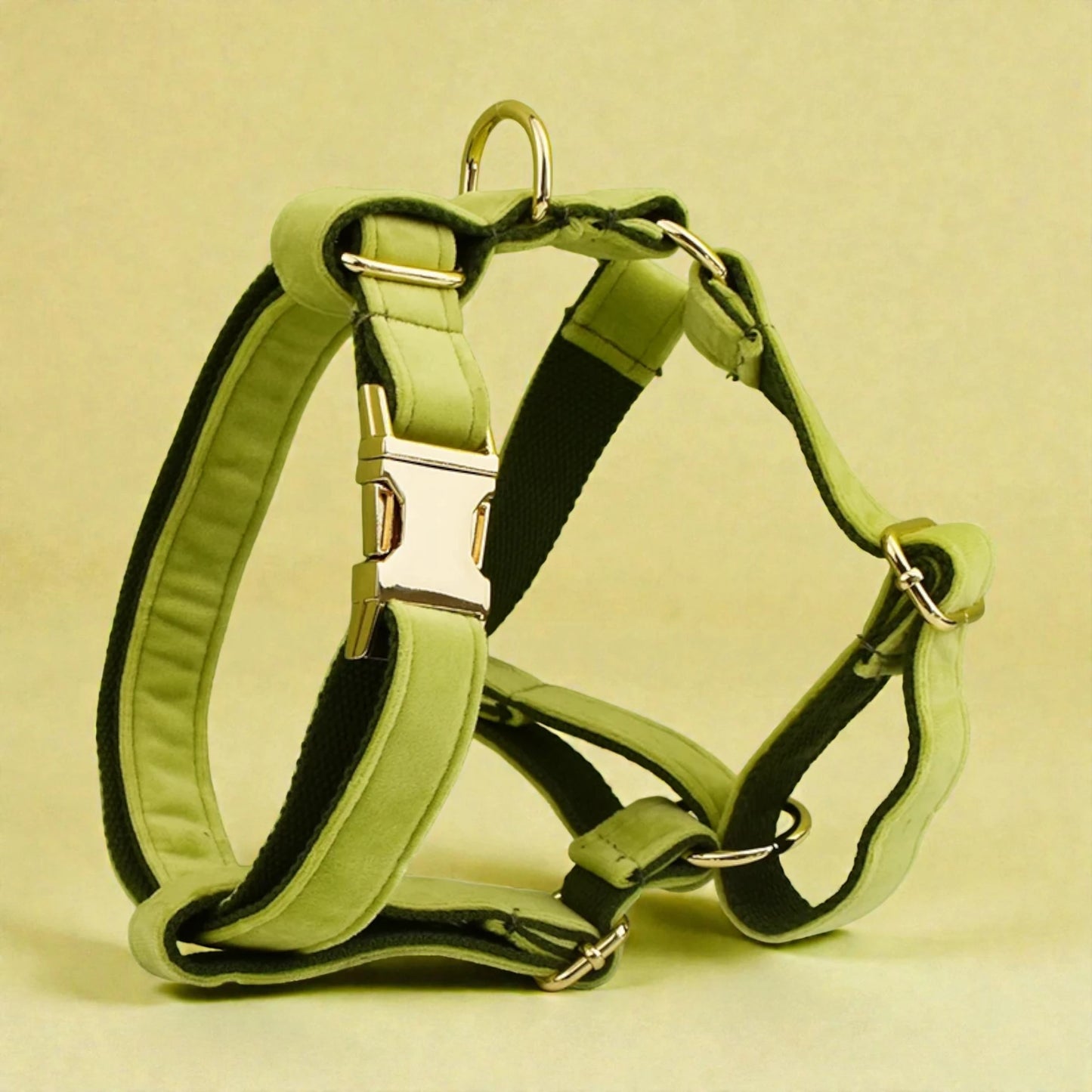Green dog harness on a beige background
