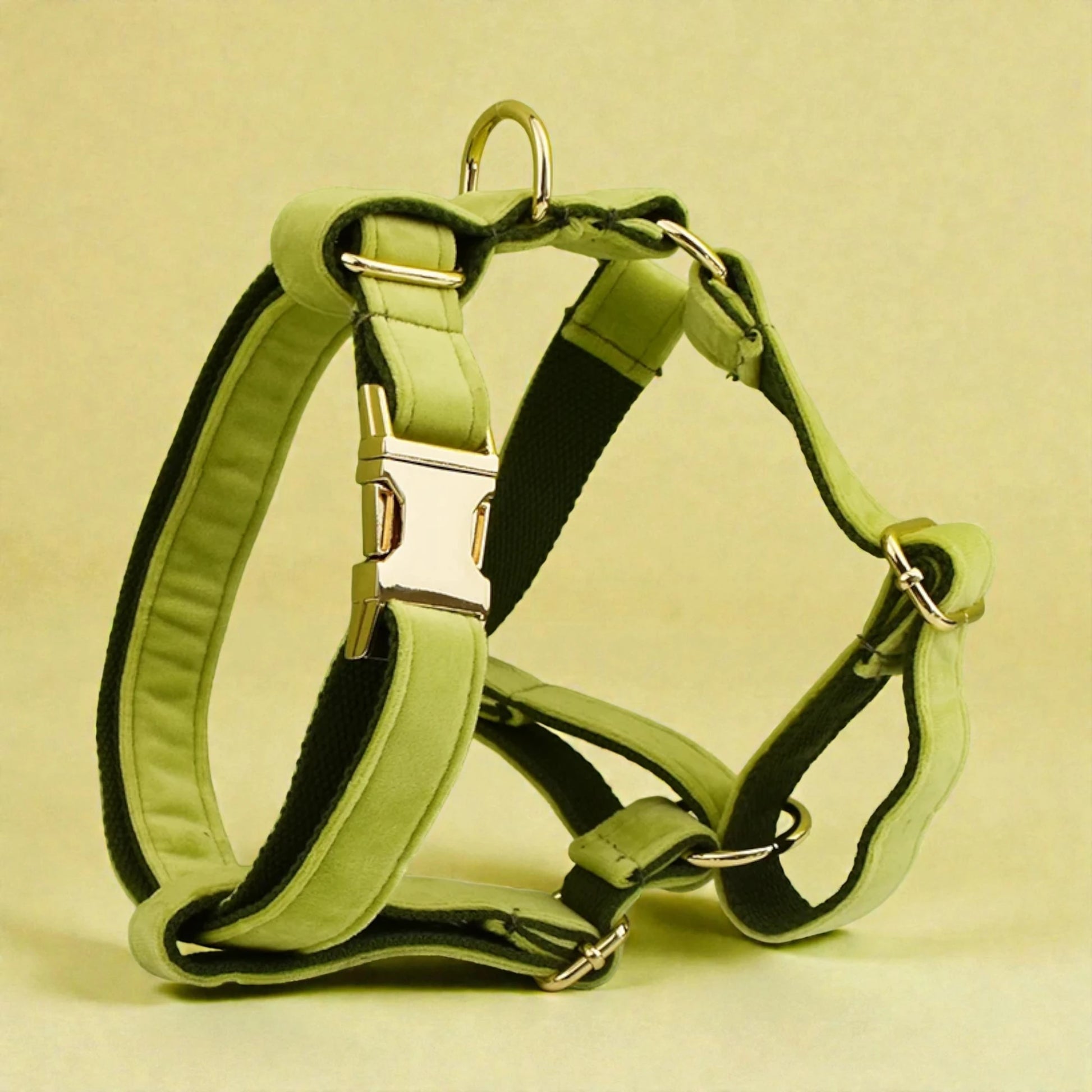 Green dog harness on a beige background