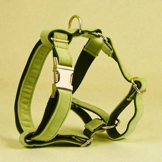 Green dog harness on a beige background