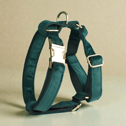 Green dog harness with metal hardware on a beige background