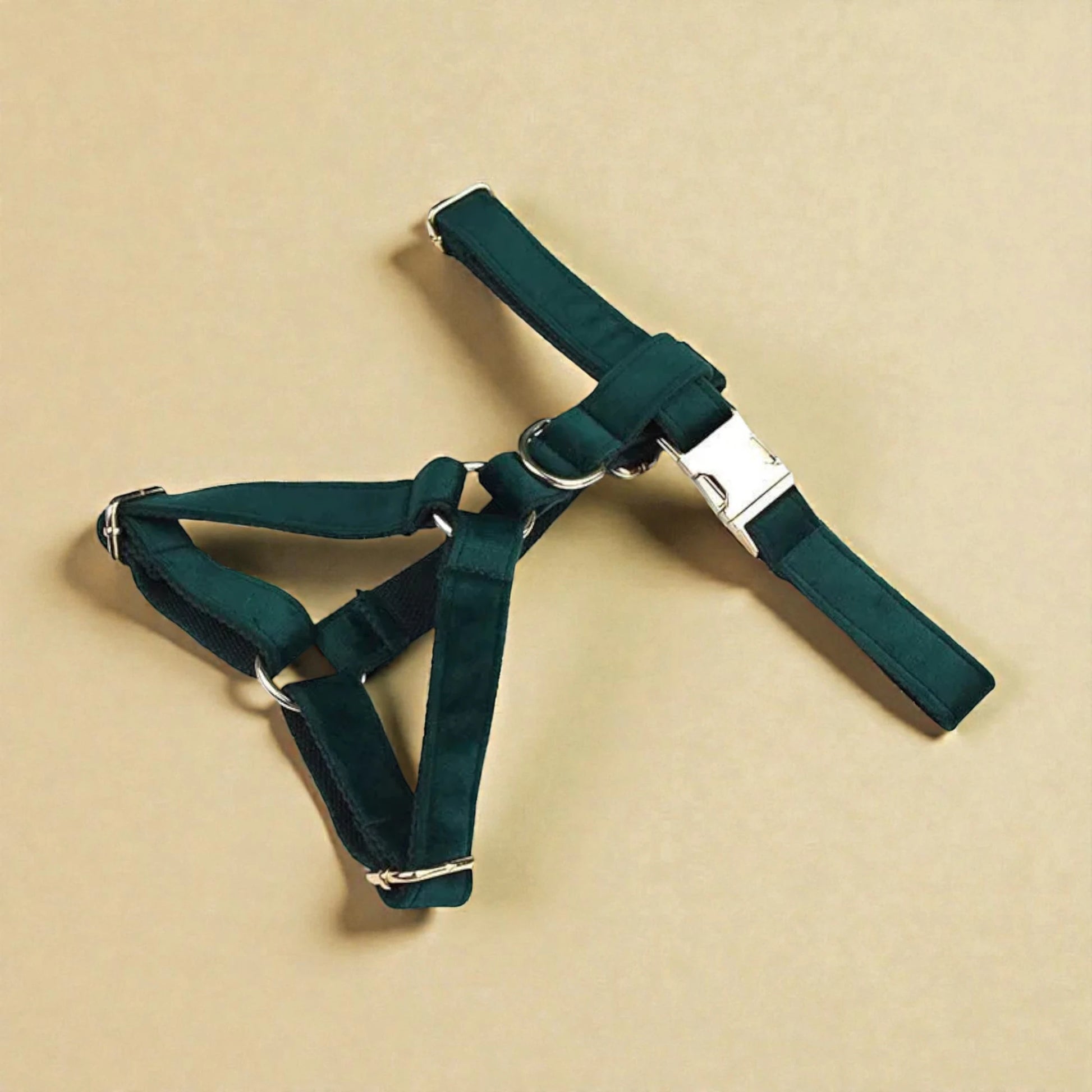Green dog harness on a beige background