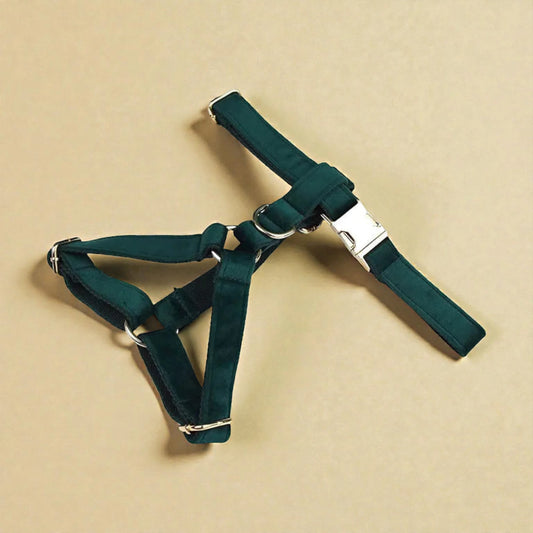 Green dog harness on a beige background