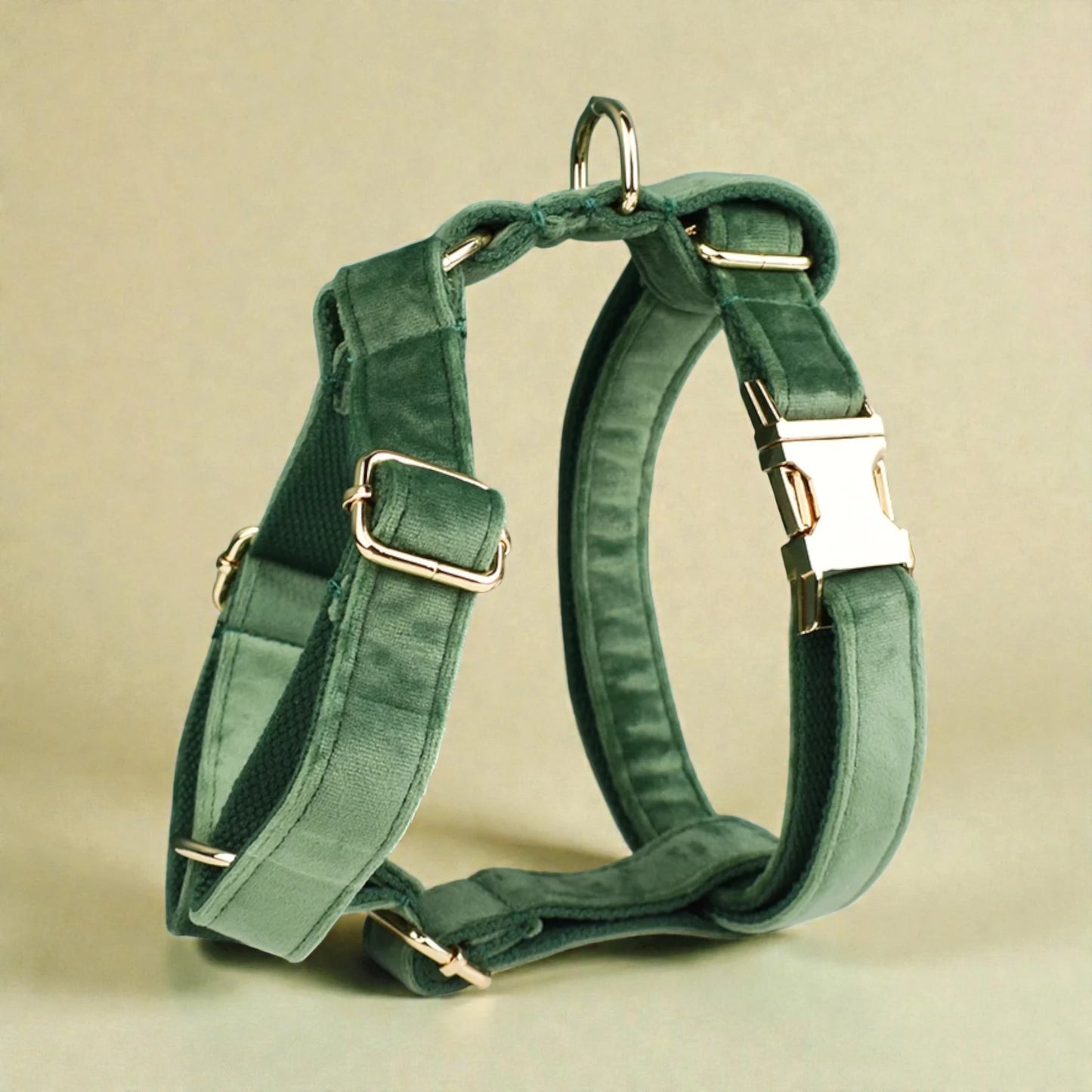 Green dog harness with metal hardware on a beige background