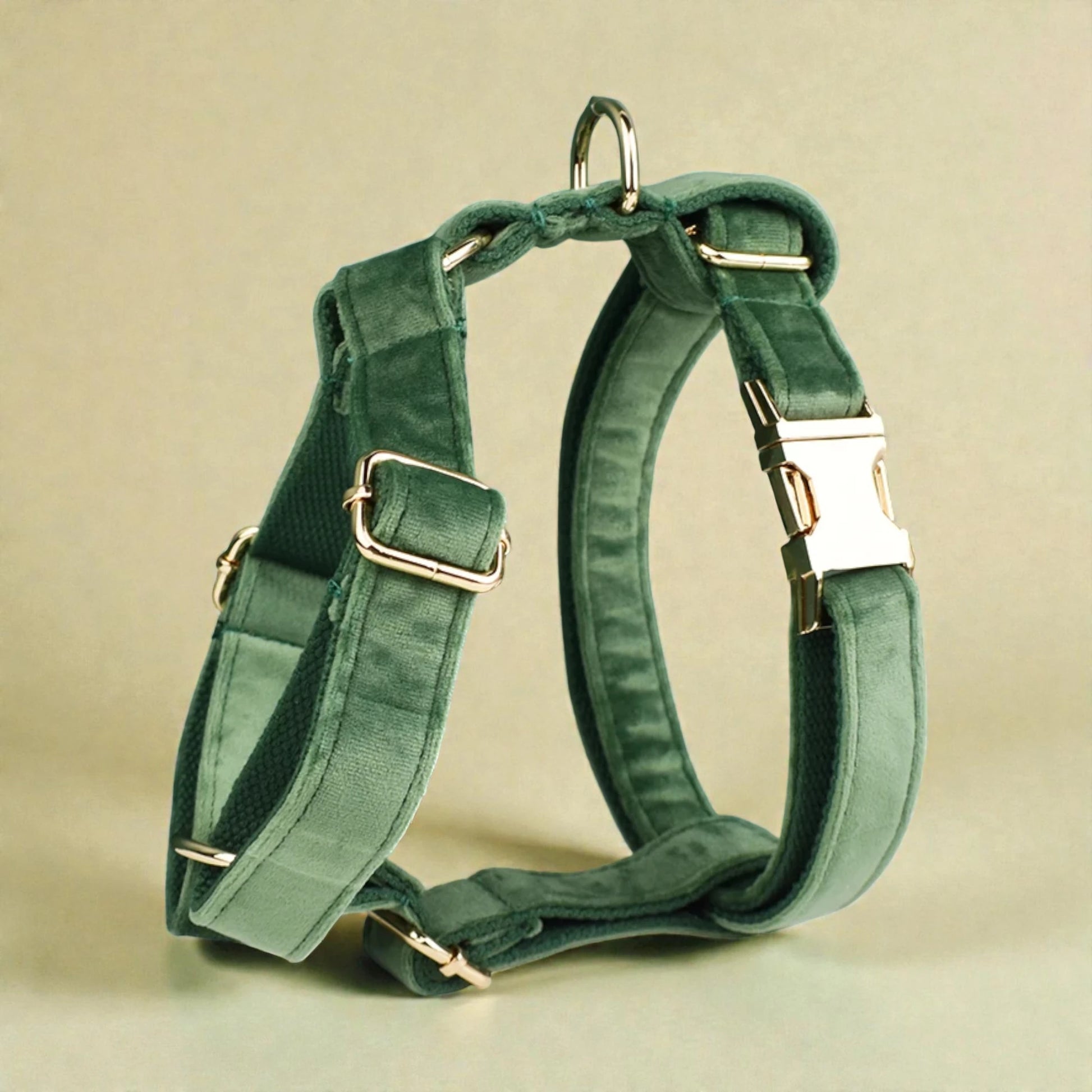 Green dog harness with metal hardware on a beige background