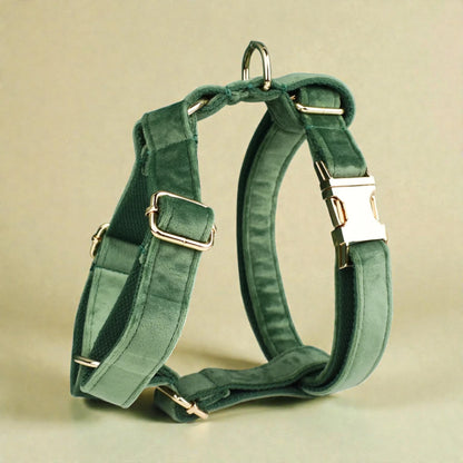 Green dog harness with metal hardware on a beige background