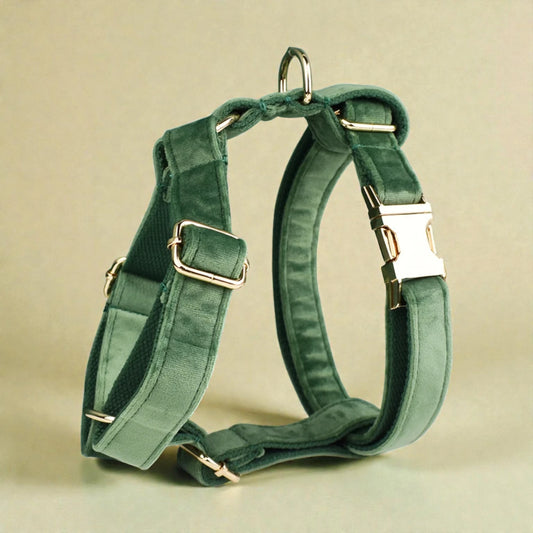 Green dog harness with metal hardware on a beige background