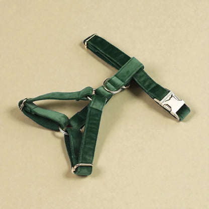 Green velvet dog harness on a beige background