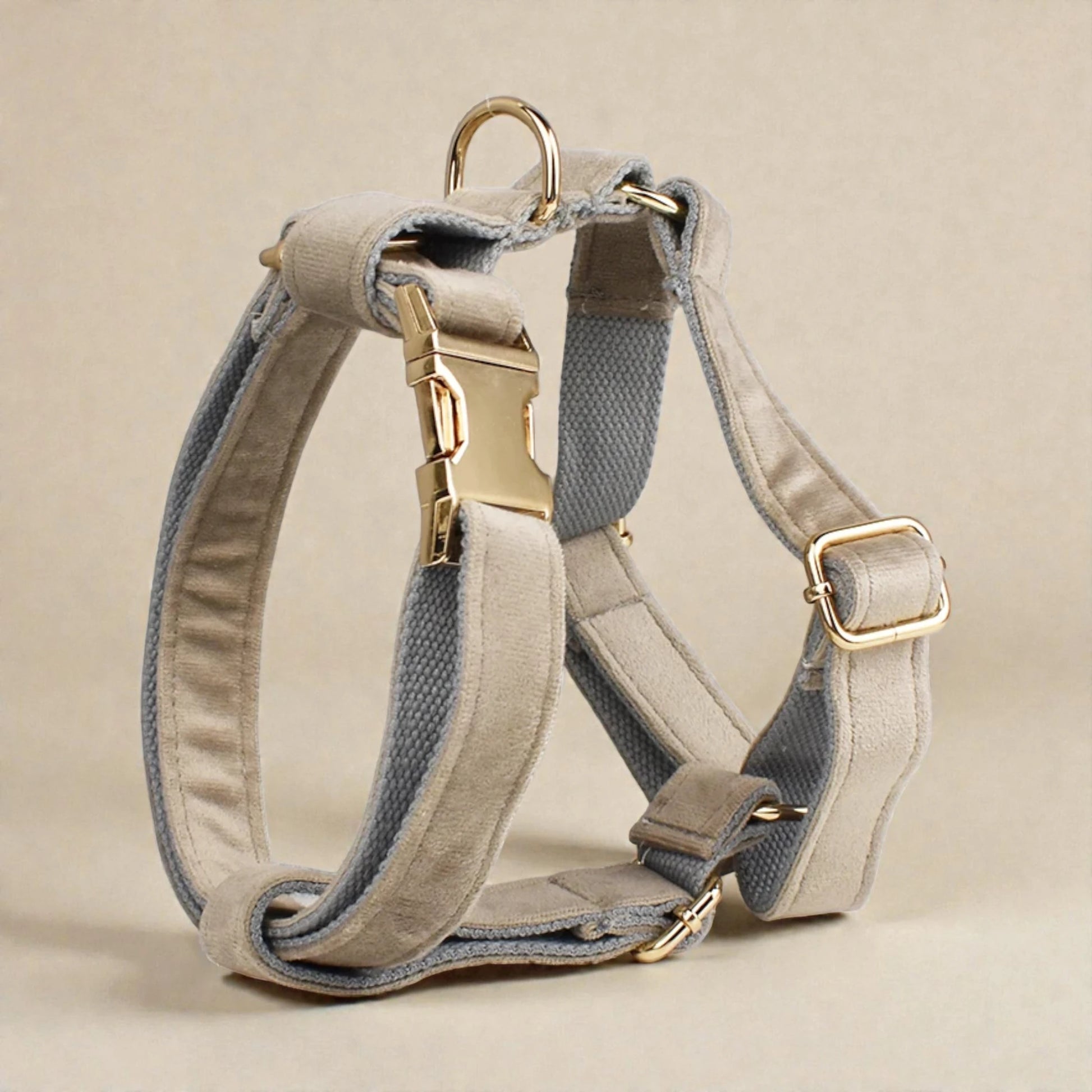 Grey dog harness with gold hardware on a beige background