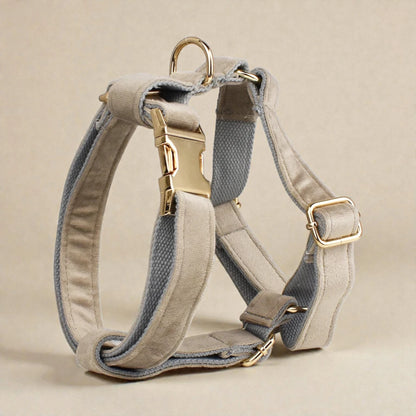 Grey dog harness with gold hardware on a beige background