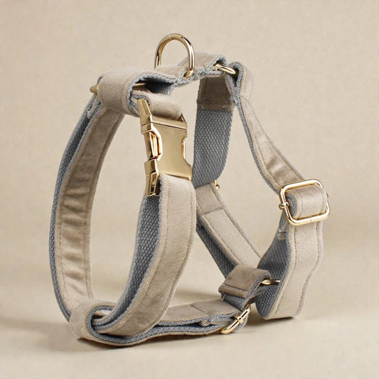 Grey dog harness with gold hardware on a beige background