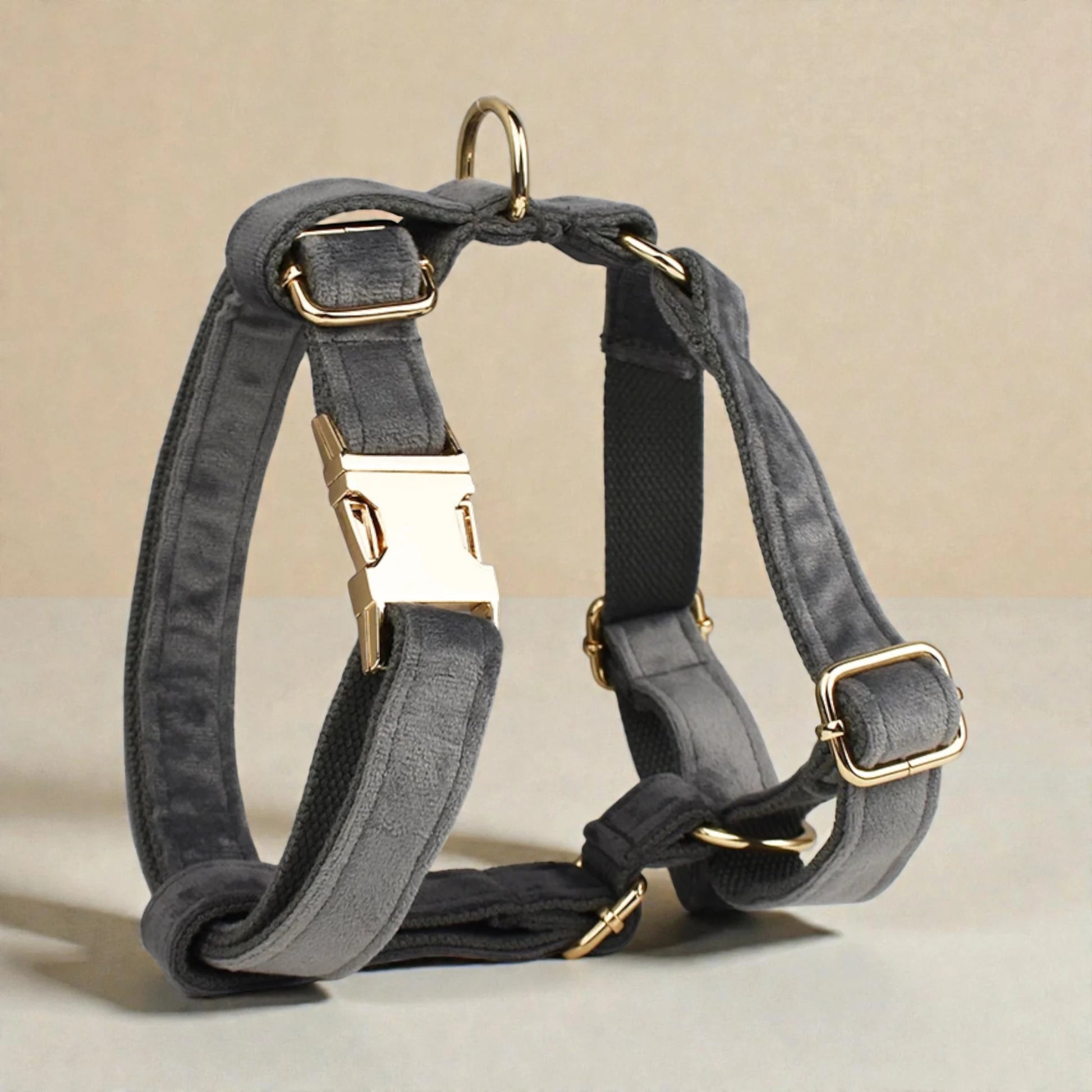 Grey dog harness with gold hardware on a beige background
