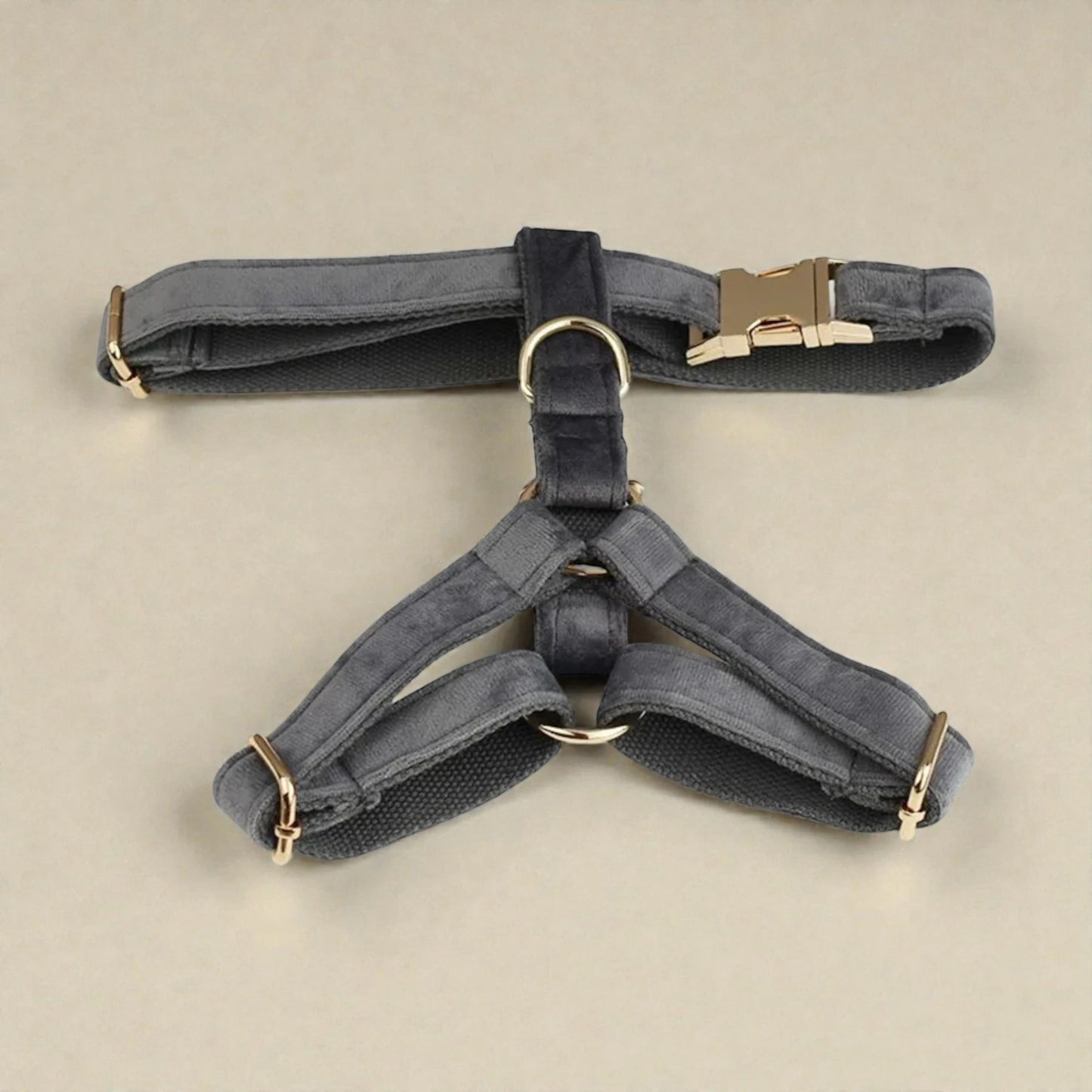 Grey dog harness with gold hardware on a beige background