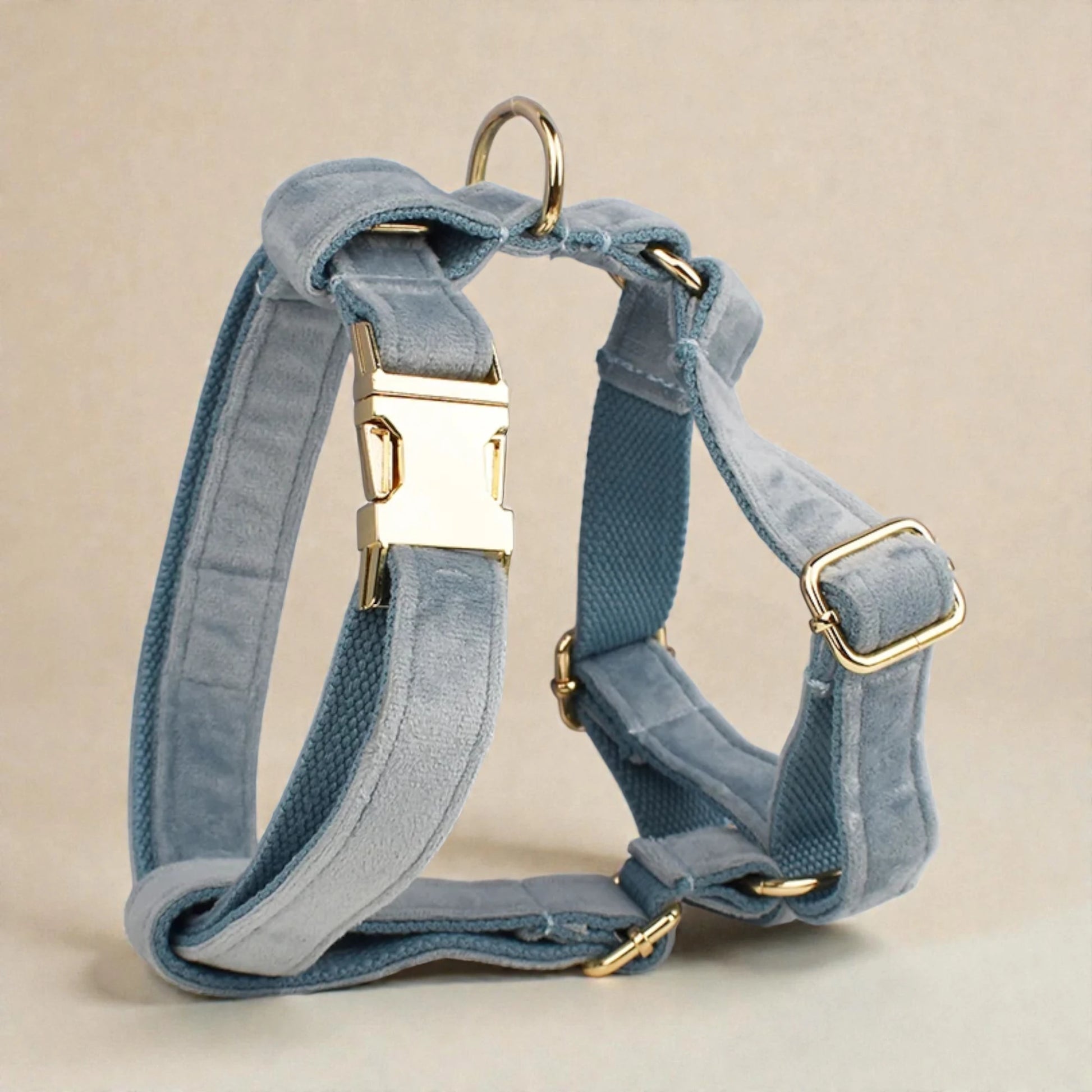 Blue dog harness with gold hardware on a beige background