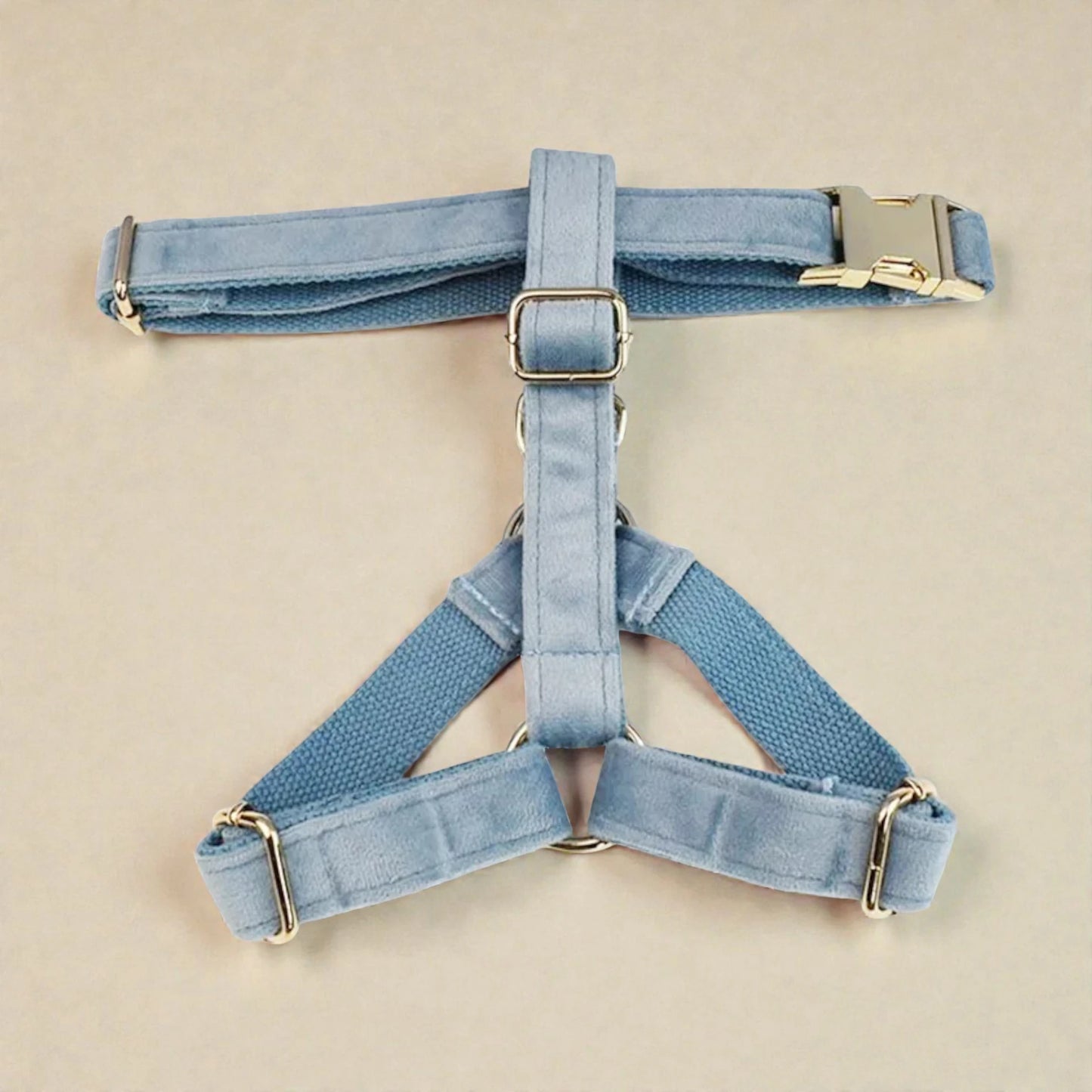 Light blue dog harness on a beige background