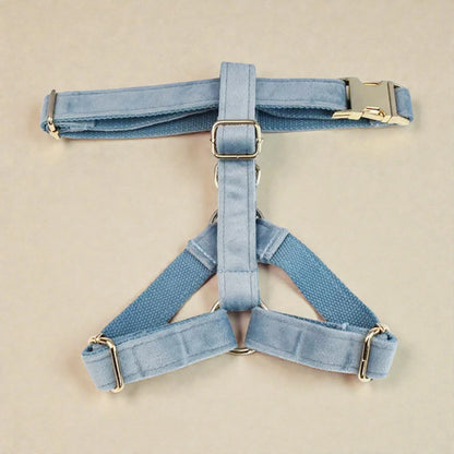 Light blue dog harness on a beige background