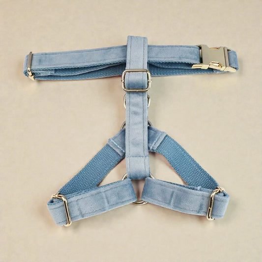 Light blue dog harness on a beige background