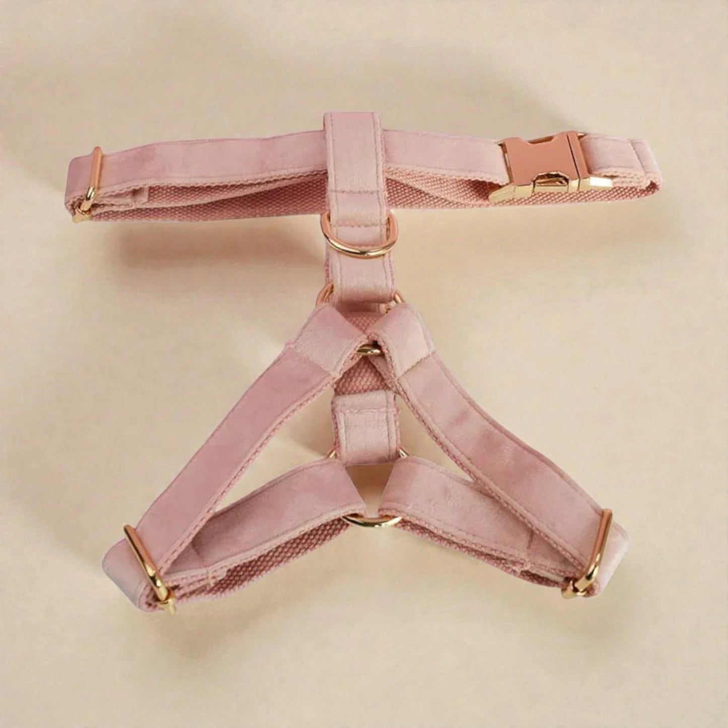Pink dog harness with gold hardware on a beige background