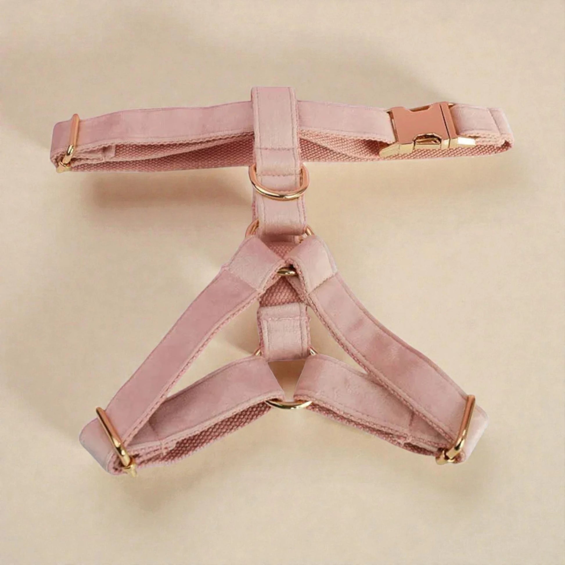 Pink dog harness with gold hardware on a beige background