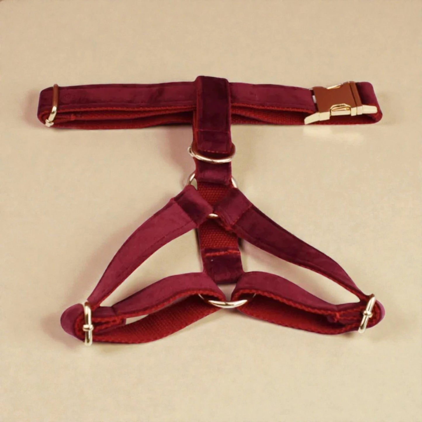 Red harness on a beige background