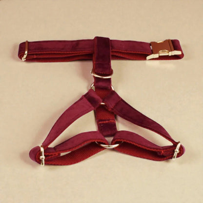 Red harness on a beige background