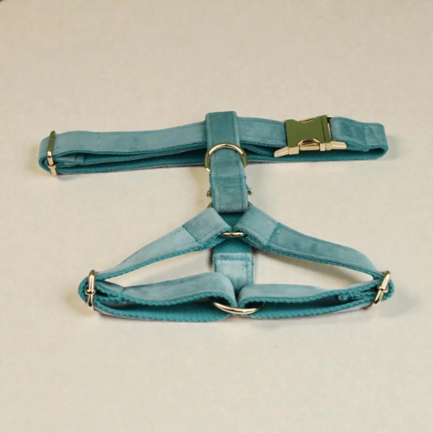 Teal dog harness on a beige background